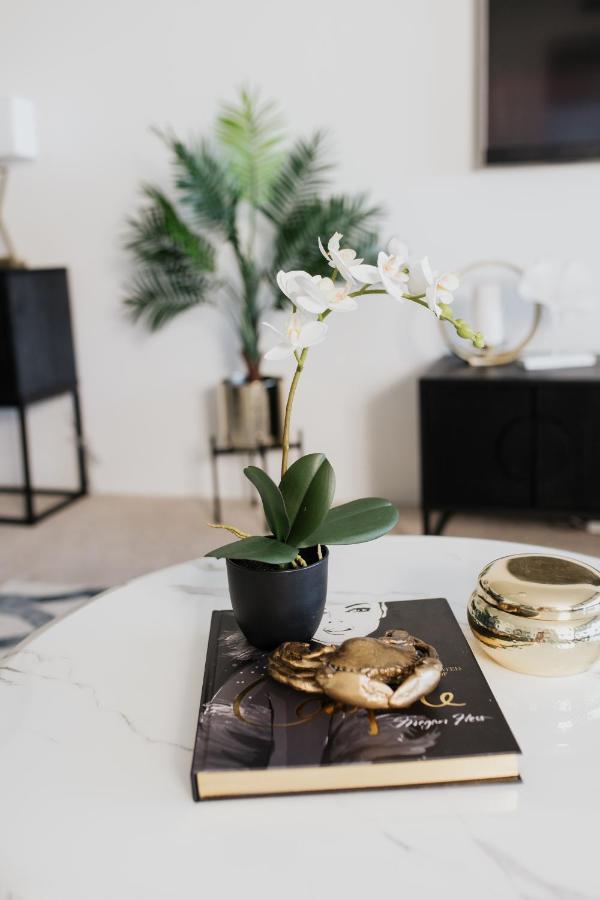 Apartment Circle On Cavill Free Parking Gold Coast